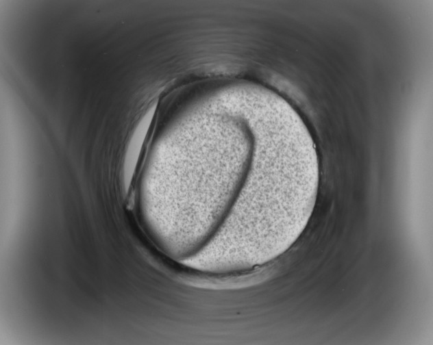 X0000086270017200704191934