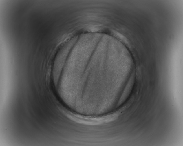 X0000086270018200704191934