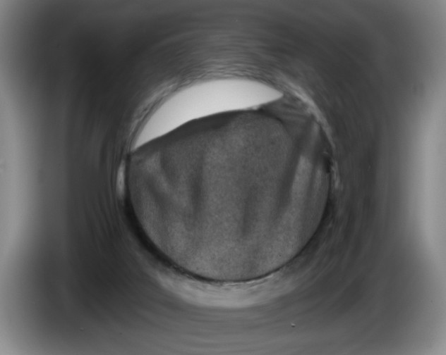 X0000086270019200704191934