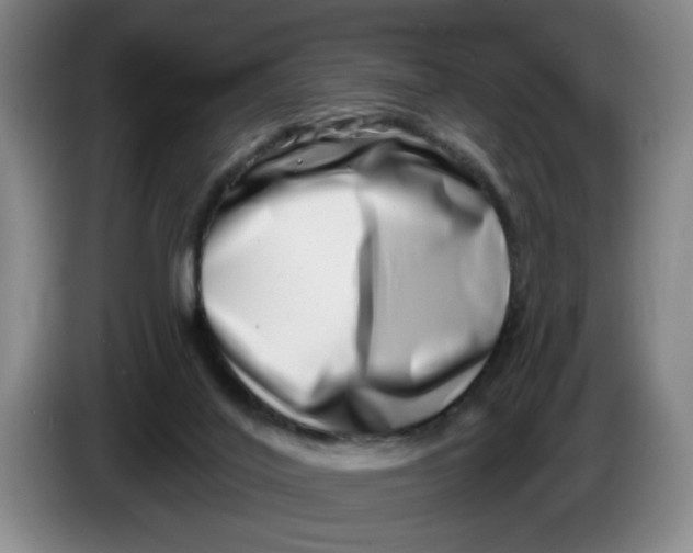 X0000086270020200704191934
