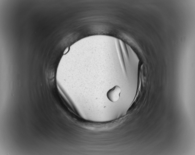 X0000086270021200704191934