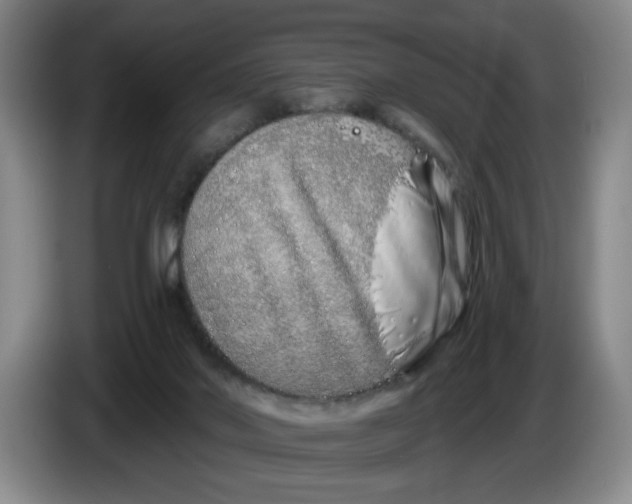 X0000086270022200704191934