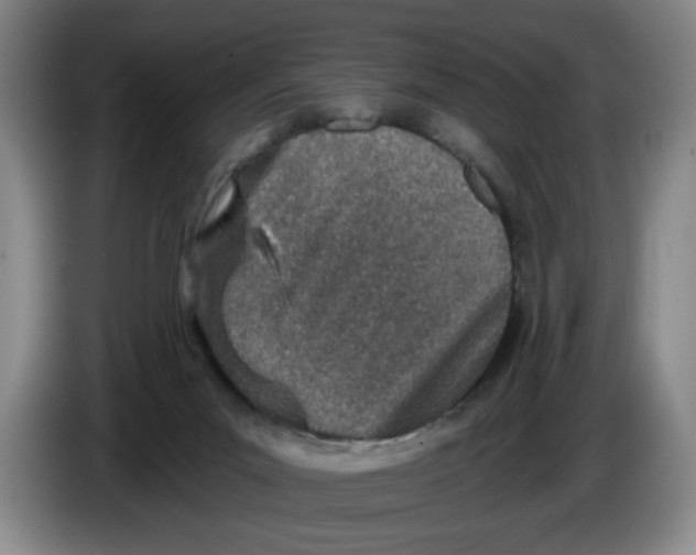 X0000086270023200704191934