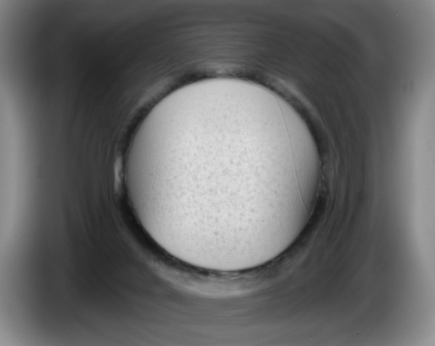 X0000086270024200704191934