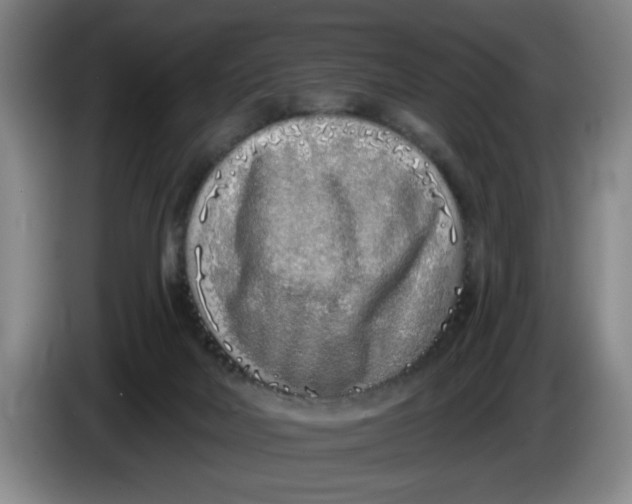 X0000086270026200704191934