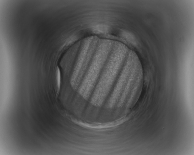 X0000086270027200704191934