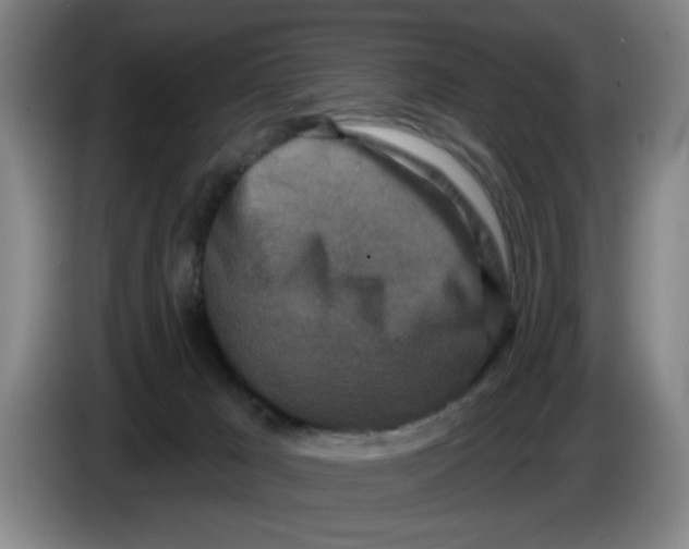 X0000086270029200704191934