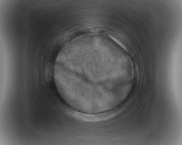 X0000086270030200704191934