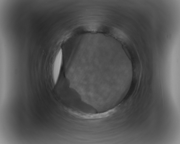 X0000086270031200704191934