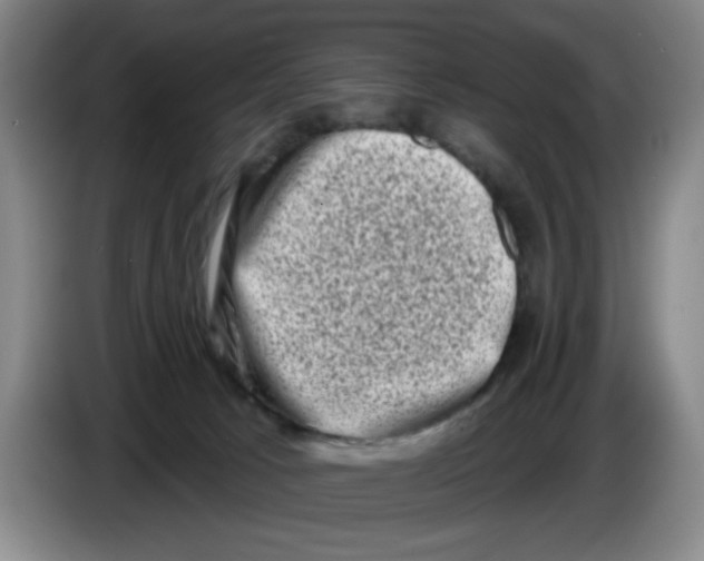 X0000086270033200704191934
