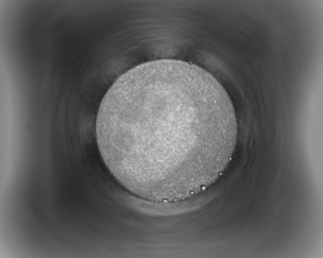 X0000086270034200704191934