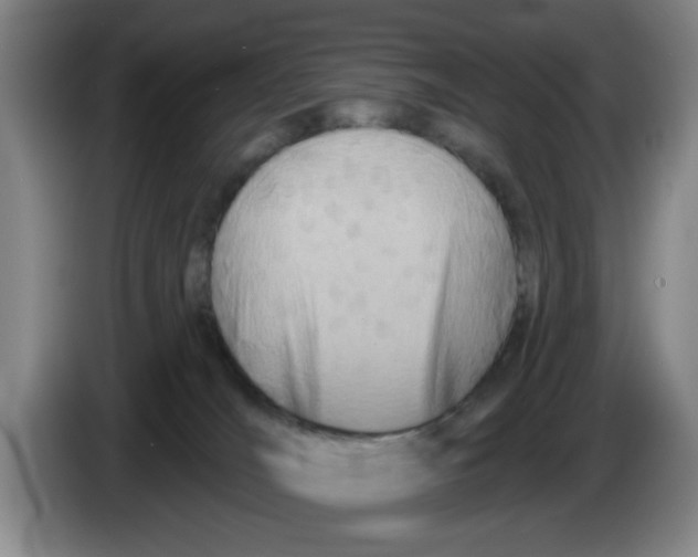 X0000086270036200704191934