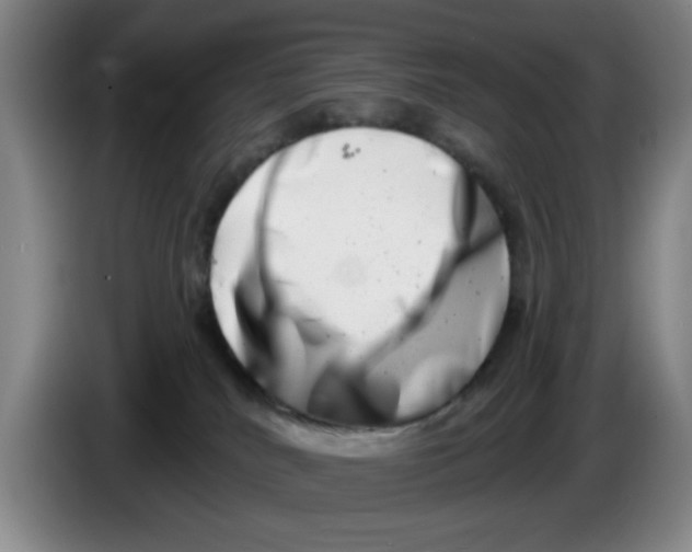 X0000086270040200704191934