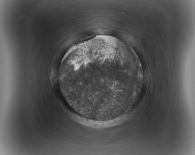 X0000086270043200704191934