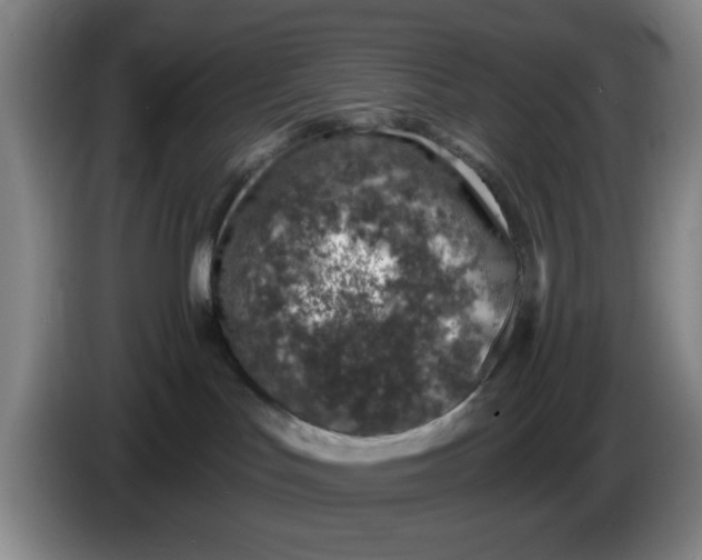 X0000086270047200704191934