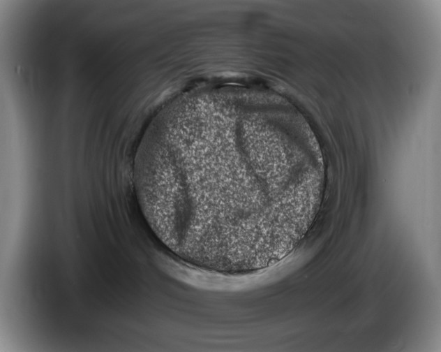 X0000086270048200704191934