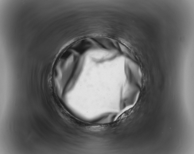 X0000086270050200704191933