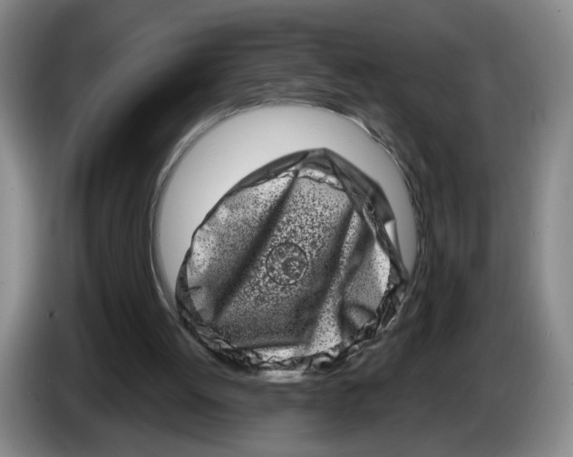 X0000086270052200704191933