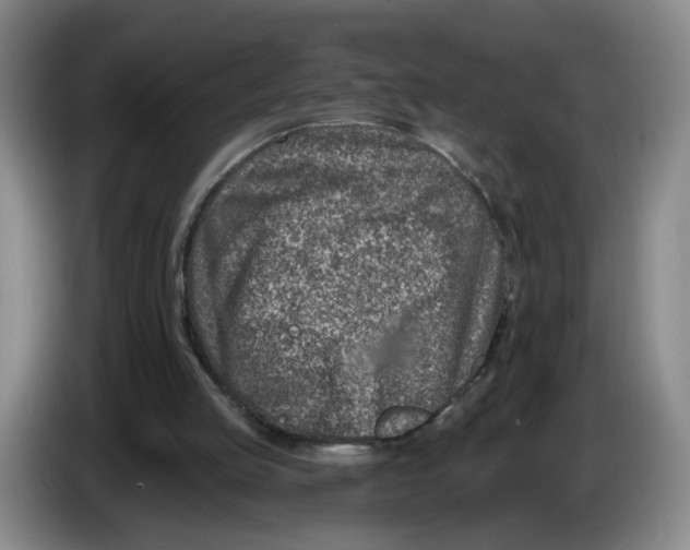 X0000086270053200704191933