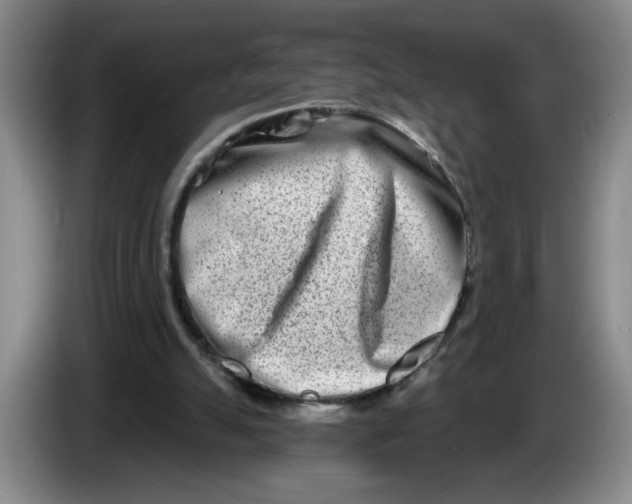 X0000086270055200704191933