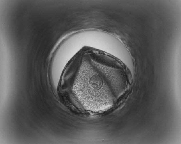 X0000086270056200704191933