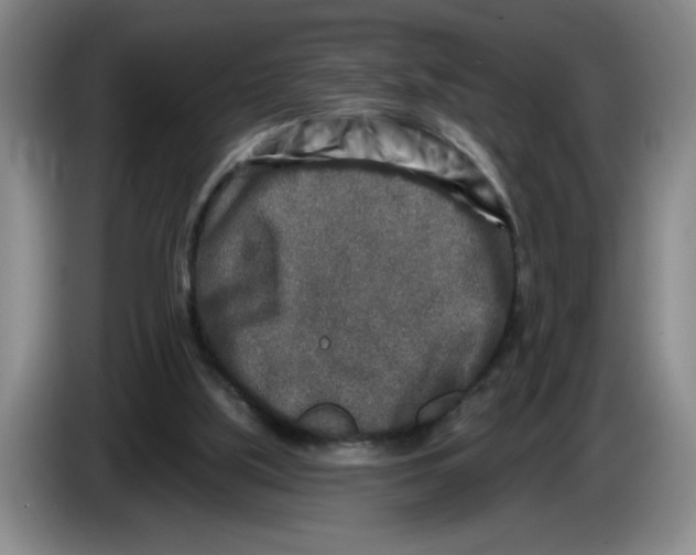 X0000086270059200704191933