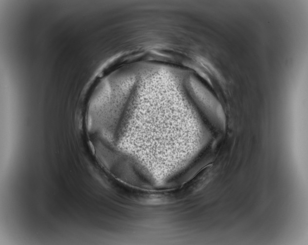 X0000086270060200704191933