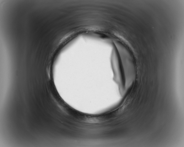 X0000086270062200704191933