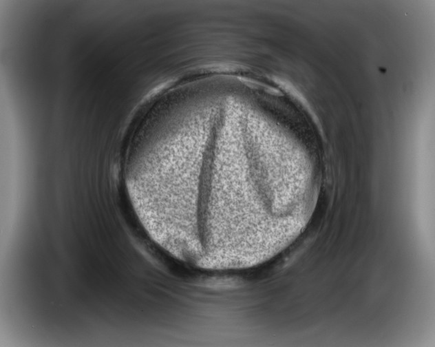 X0000086270063200704191933