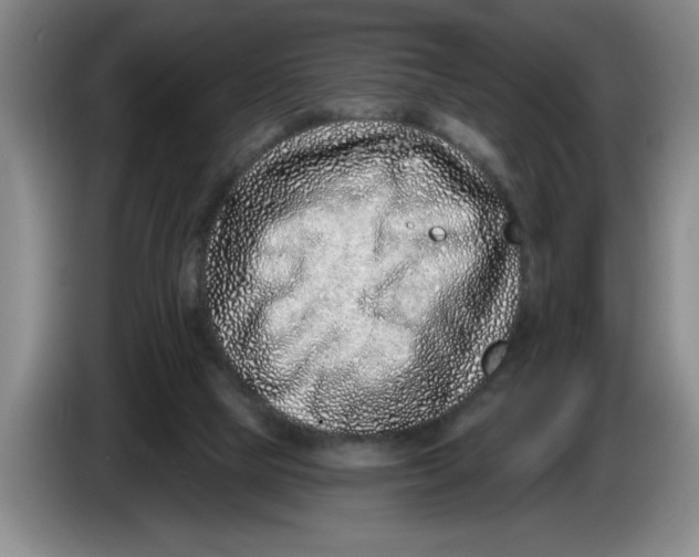 X0000086270065200704191933