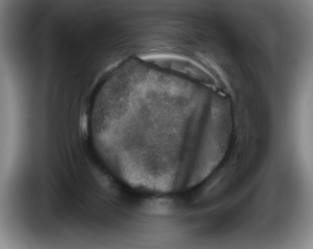 X0000086270067200704191933