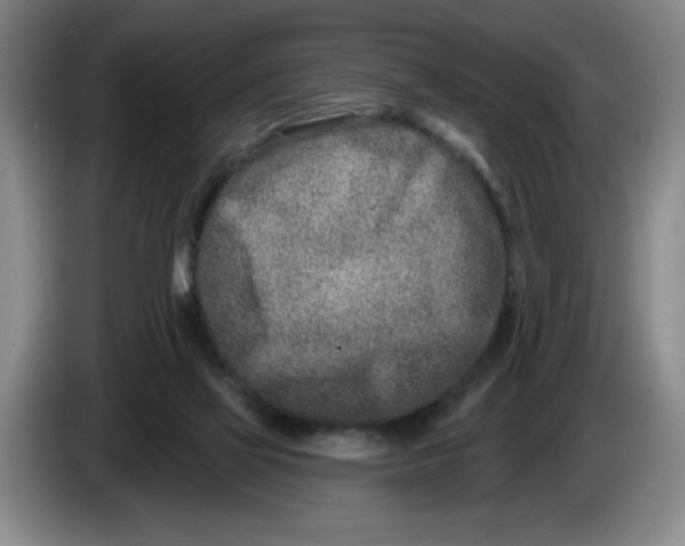 X0000086270069200704191933