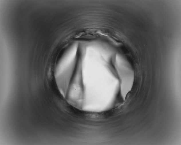 X0000086270074200704191934