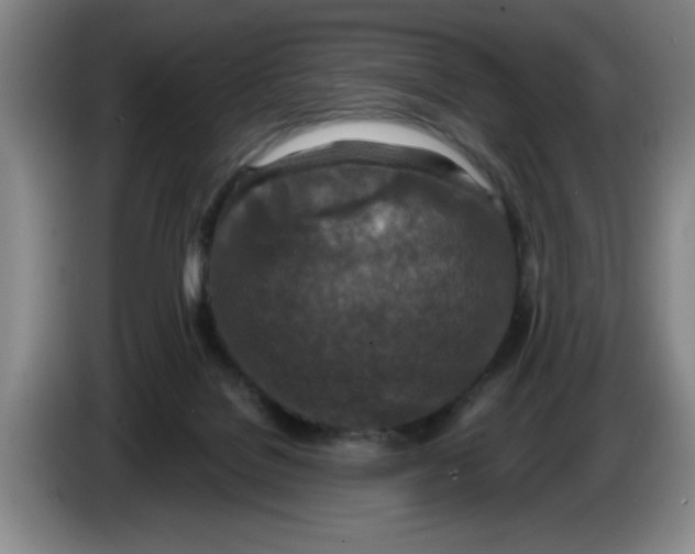 X0000086270076200704191934