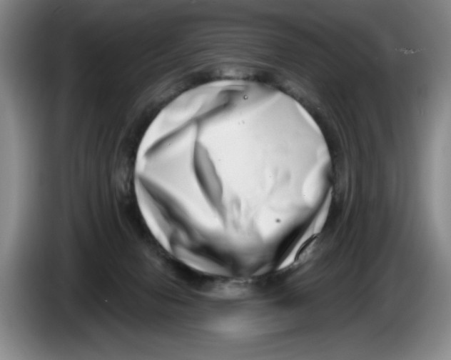 X0000086270078200704191934