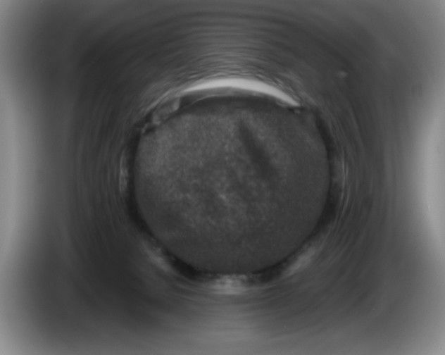 X0000086270080200704191934