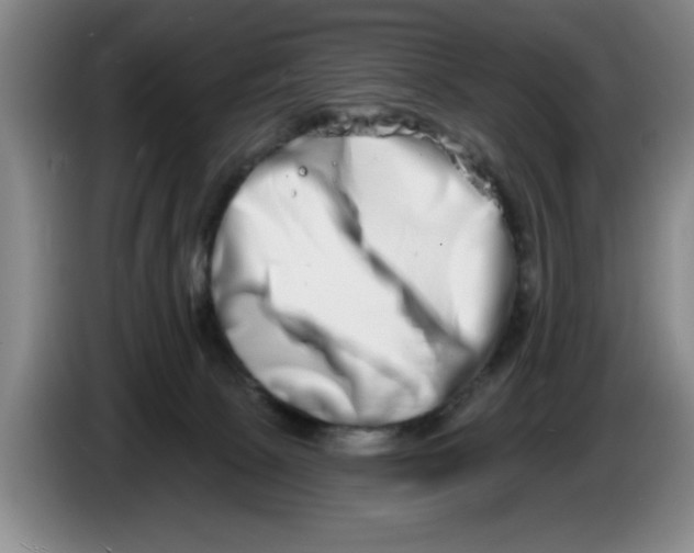 X0000086270081200704191934