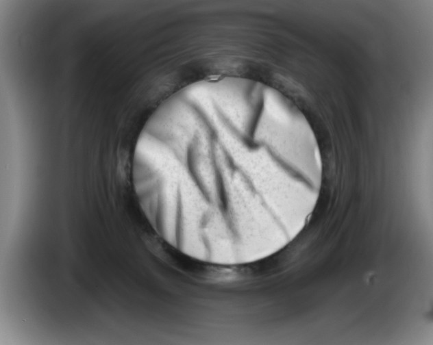 X0000086270083200704191934