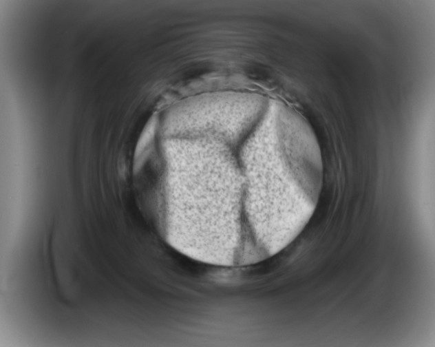 X0000086270084200704191934