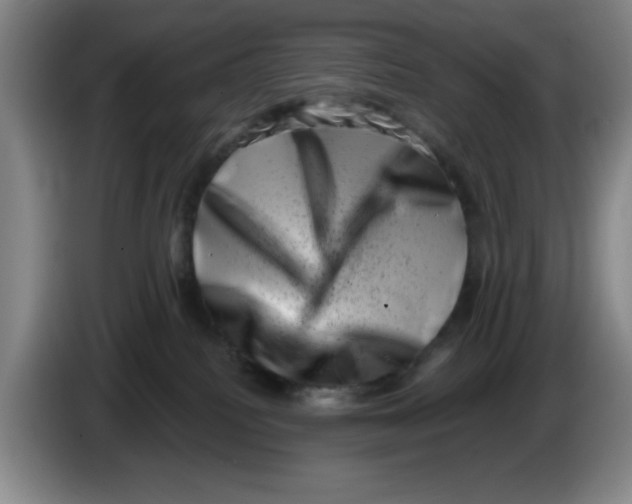 X0000086270088200704191934