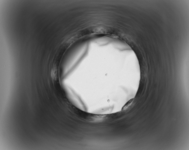 X0000086270090200704191934