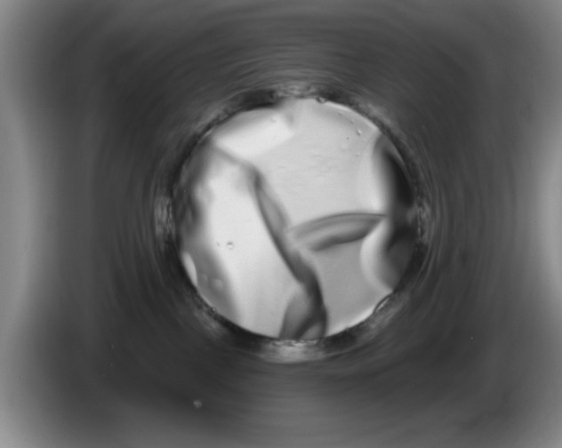 X0000086270093200704191934