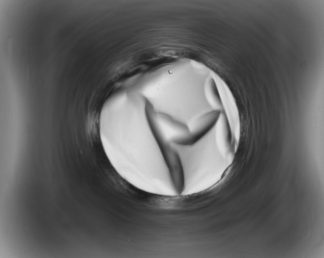 X0000086270094200704191934