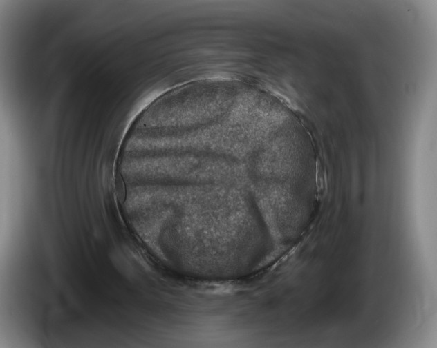 X0000086270099200704191933