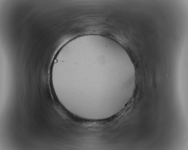 X0000086270100200704191933