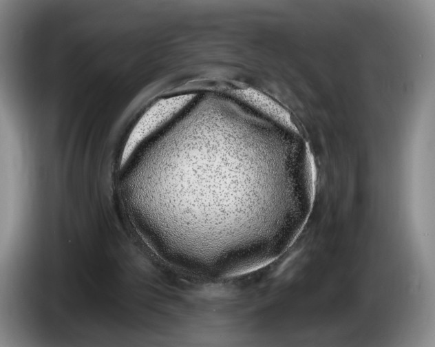 X0000086270101200704191933