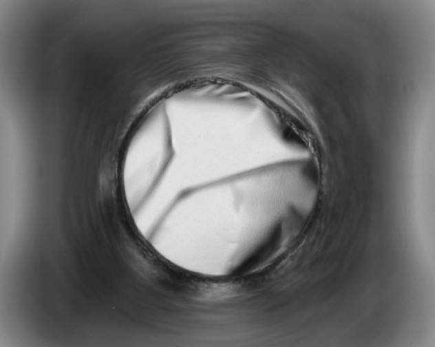 X0000086270107200704191933