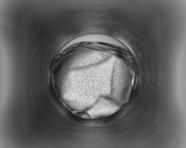 X0000086270109200704191933