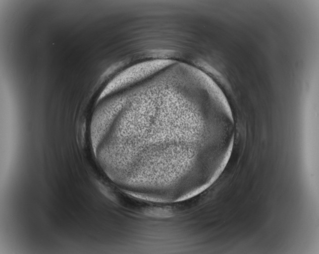 X0000086270110200704191933