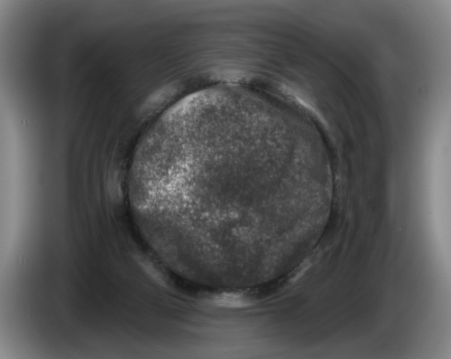 X0000086270114200704191933